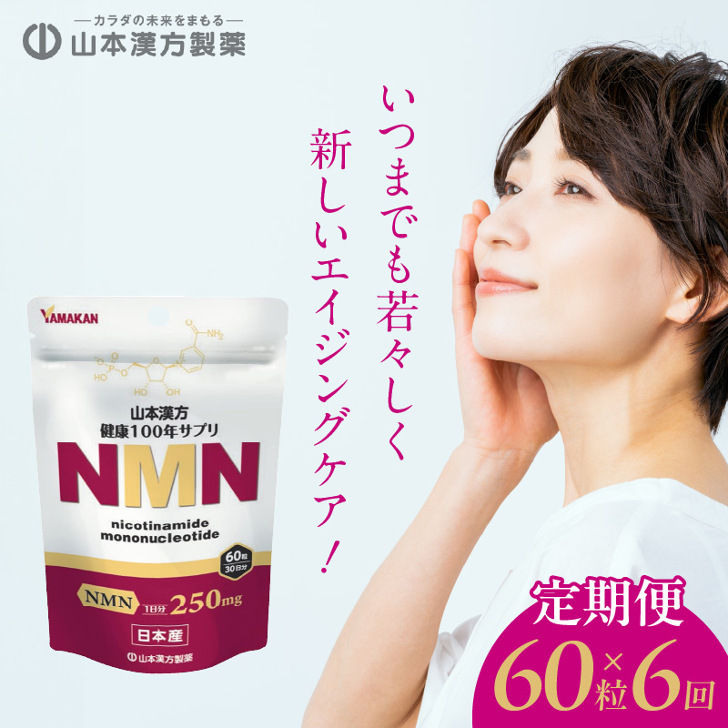 ＜6ヶ月連続定期便＞NMN[027Y28-T]