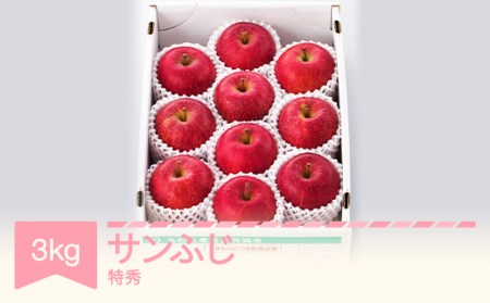 りんご サンふじ 約3kg 特秀品 リンゴ 林檎 令和6年産 2024年産 果物 山形県産 ※沖縄・離島への配送不可 mm-risft3