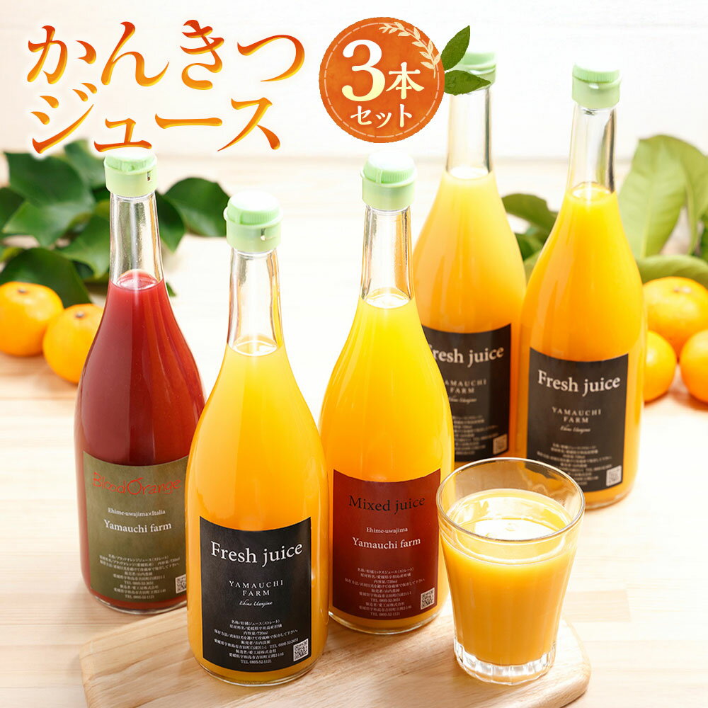 【ふるさと納税】かんきつジュースセット 720ml×3本 伊予柑 ポンカン デコポン 宇和ゴールド 紅まどんな 南津海 なつみ ブラッドオレンジ ミカン 柑橘 みかん オレンジ オレンジジュース ジュース 果物 国産 愛媛 愛媛県 送料無料（893）