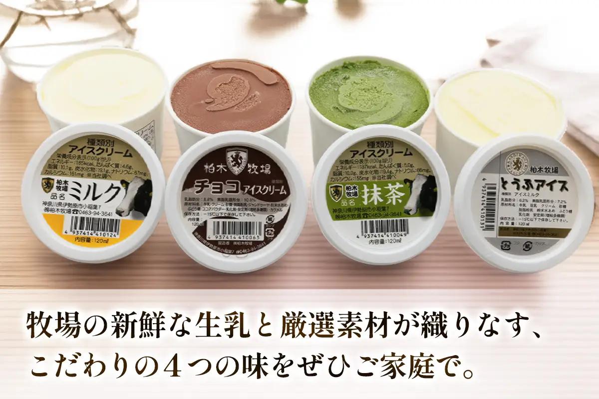 [定期便／3ヶ月連続] 柏木牧場 手づくりアイスクリーム食べ比べ 計24個 (4種 各2個セット×3回・120ml／個) [1253]