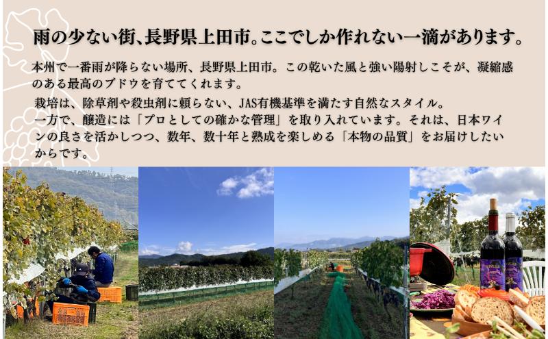 Koaso 長期熟成向き赤ワイン2023ヴィンテージ　2本セット ワイン 日本ワイン 赤 上田市