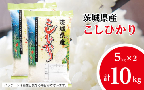 No.481 【坂東市産】【令和7年産米】茨城コシヒカリ5kg×2 ／ こしひかり おこめ 旨味 茨城県