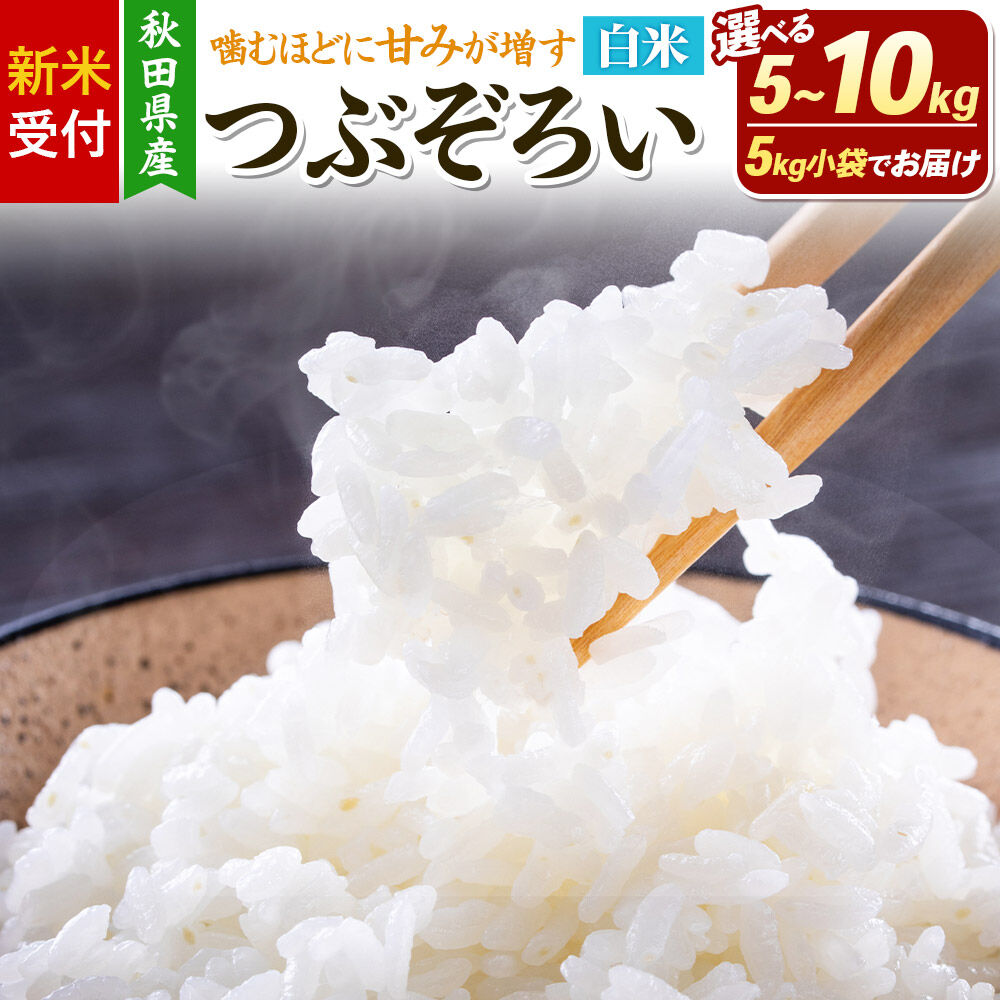 【ふるさと納税】《新米受付》令和8年産【白米】つぶぞろい【選べる容量：5kg／10kg（5kg×2袋）】秋田県由利本荘市産 [新米予約 米 お米 白米 精米 つぶぞろい 粒ぞろい 大粒 粒が大きい 柔らかい食感 甘み 粘り 香り ふっくら もっちり ご飯 ごはん 秋田]