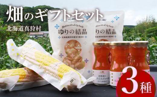 【2026年12月以降発送】 旬の野菜ギフトセット | 野菜セット 野菜 ギフト 野菜ジュース とうもろこし ゆり根 ジュース | ベジタブルワークス株式会社 [BPAD003]