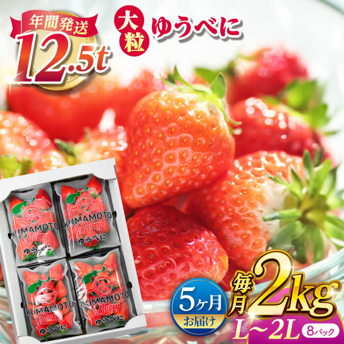 【ふるさと納税】【先行予約】【5回定期便】大粒いちご L〜2L ゆうべに 2kg（8pc）【熊本ベリー】[ZER017]
