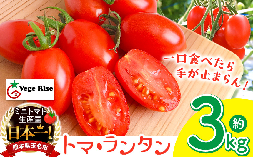 
ミニトマト生産量 日本一 玉名市 !！ 「 トマ・ランタン 」 約 3kg ミニトマト トマト Vege Rise
