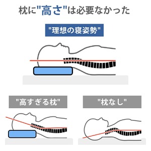 とにかく低い枕《60日以内に出荷予定(土日祝除く)》