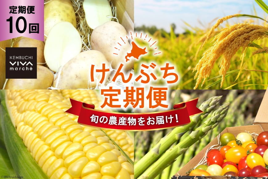 10回定期便 【剣淵町産】 けんぶち定期便 [けんぶちVIVAマルシェ 北海道 剣淵町 14656382] 定期便 やさい 野菜 季節の野菜 旬野菜 お米 米 はちみつ ハチミツ 蜂蜜