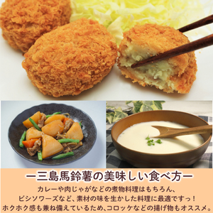 三島馬鈴薯 5kg JAふじ伊豆 じゃがいも 馬鈴薯 三島 いも 野菜 芋 農作物 ポテト コロッケ 肉 じゃが 【化粧箱入り】