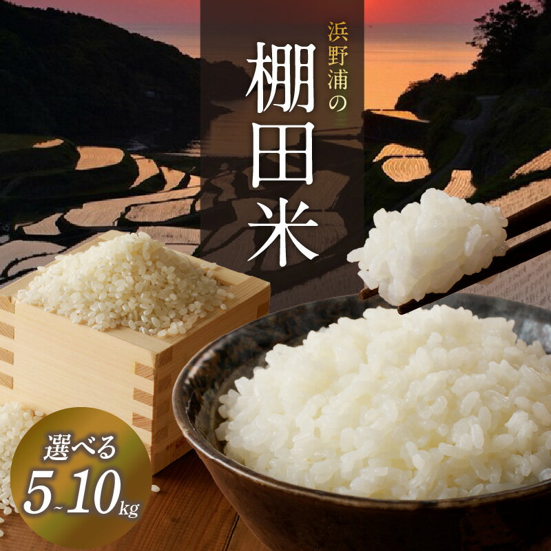 【ふるさと納税】【容量選べる】浜野浦の棚田米 5kg or 10kg ／ 米 お米 精米 白米 ご飯 棚田 産地直送 数量限定 佐賀県 玄海町 常温 ＼レビューキャンペーン実施中／