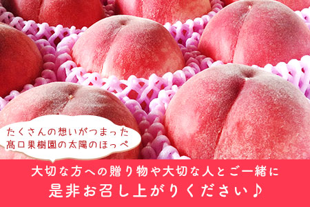 【先行予約】 桃 季節のおすすめ 約1.8kg～2kg もも フルーツ 果物 白桃 あかつき なつおとめ まどか 瑞鳳 なつっこ 川中島白桃 熊本県荒尾市産 桃 高口果樹園《7月上旬-8月末頃出荷》｜