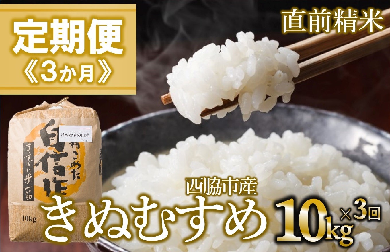 
            【定期便 3か月 きぬむすめ】白米10kg（3か月連続お届け）新米 2025年産　米 お米 米10㎏ お米10㎏ 兵庫県産 きぬむすめ キヌムスメ 西脇市産 定期 連続 3回 3か月 2025年産 精米 便利 らくちん ラク
          