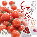 【ふるさと納税】【先行予約】福井県美浜町産 若狭のミディトマト『紅い鈴』合計約2kg（約1kgバラ箱詰め×2箱）【2024年7月上旬以降順次発送予定】【産地直送 ミディ とまと 甘い 完熟 水耕栽培 お弁当 コンクール受賞 サラダ パスタ おやつ 野菜嫌いの方にも】 [m37-a005]