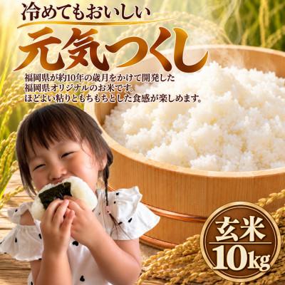 ふるさと納税 柳川市 【令和8年産】元気つくし 玄米 10kg