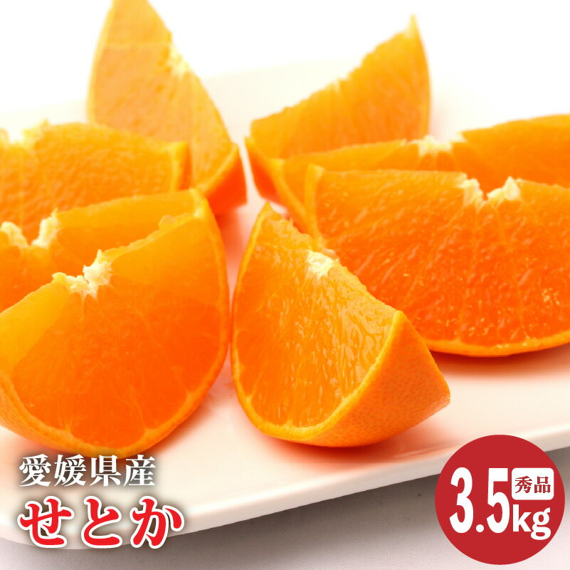 【ふるさと納税】 【2026年2月上旬より発送】愛媛県産 せとか 秀品 約3.5kg | せとか みかん 高級 ギフト 贈り物 蜜柑 柑橘 数量限定 愛媛県 松山市