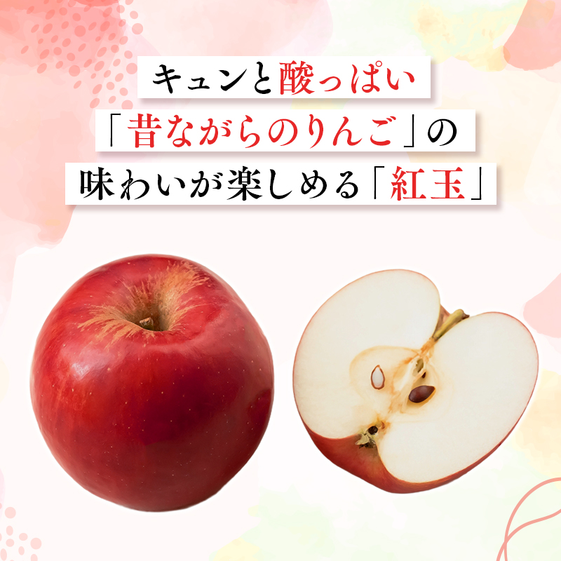 2026年10月発送　【訳あり】家庭用紅玉 約5kg【原田農園】 
