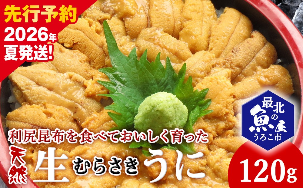 
            利尻昆布を食べておいしく育った「生むらさきうに」120ｇ
          
