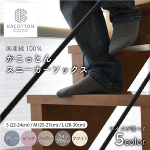 かこっとんスニーカーソックス（3サイズ5色カラバリ展開）【よりどり2足】【2402T05302】