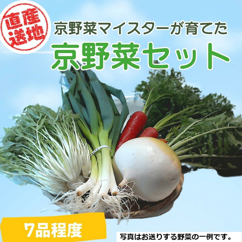 【ふるさと納税】先行予約【京やさい佐伯】京野菜セット ＜数量限定＞［ 京都 直売所 直送 京野菜 野菜 新鮮 旬 人気 おすすめ 美味しい 人気 お取り寄せ 通販 送料無料 ふるさと納税 ］