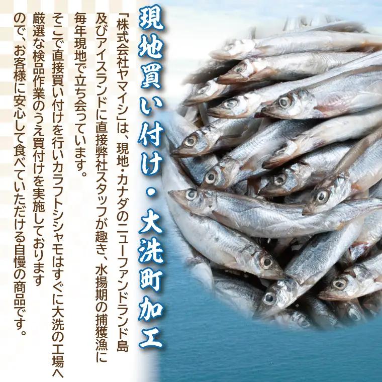 【ふるさと納税】 【定期便】 子持ち カラフトシシャモ ２kg (500g×4袋) 訳アリ シシャモ ししゃも カラフトししゃも 大洗 規格外 訳あり わけあり 傷 半年お届け（2ヶ月に1度 ２kg 