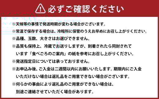 【先行予約】 しっかりした果肉と果汁たっぷりの岡山の白桃 ・ 恵白 2kg箱（約5個～8個） 【2025年9月発送予定】 ／ 桃 もも モモ はくとう めぐみはく 千曲白鳳 ちくまはくおう 川中島白桃