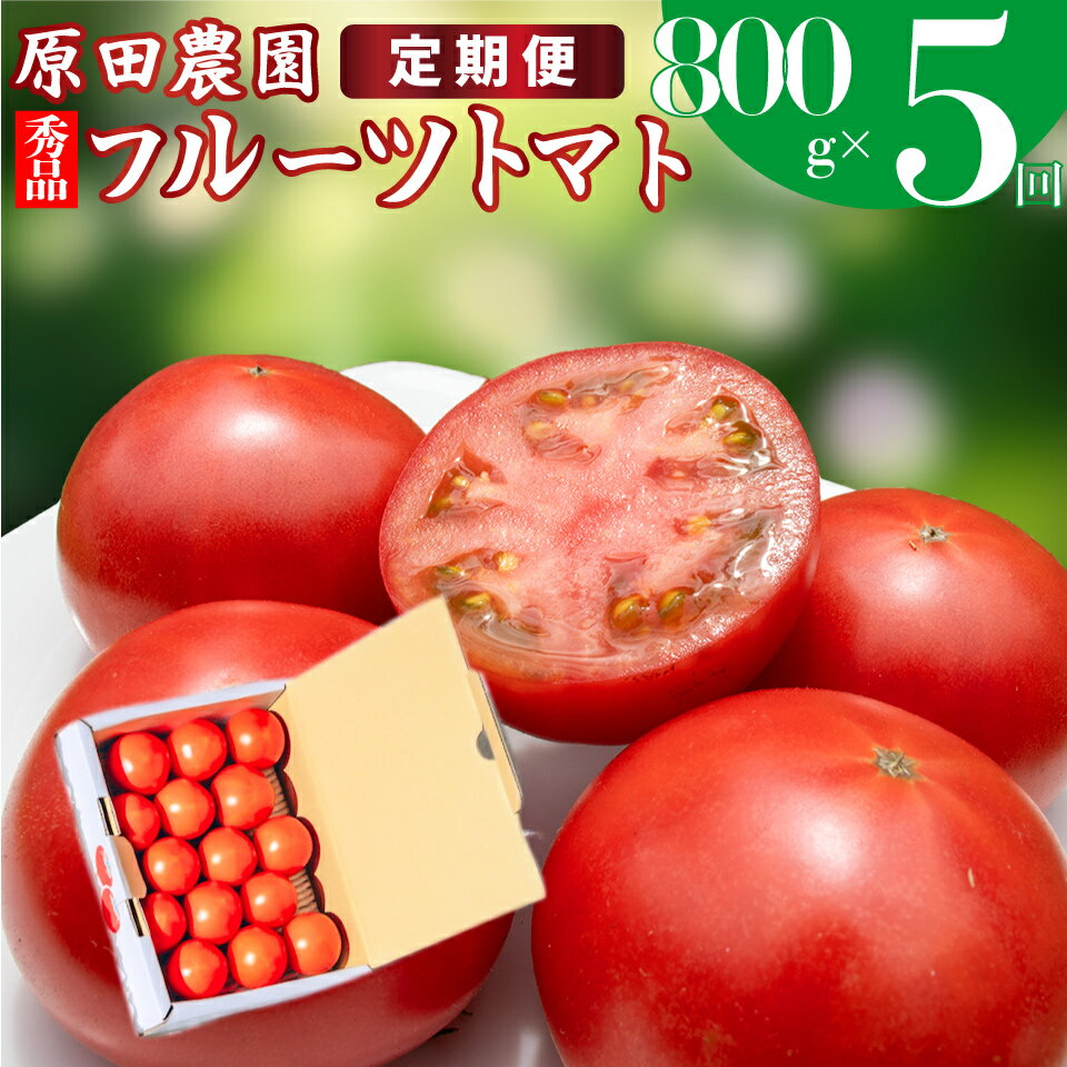 【ふるさと納税】定期便 5回【 12月下旬～5月頃発送 】＜フルーツトマト 原田農園 約800g 小箱＞ 桃太郎 【常温】送料無料　＜2025年12月下旬頃より順次発送＞