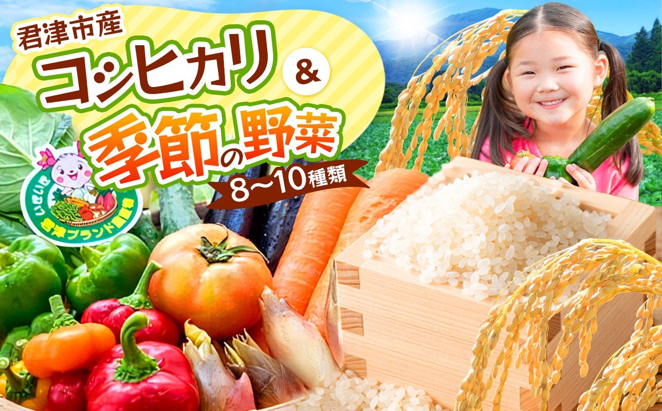 
                  【 令和7年度産コシヒカリ3kg ＆ 季節の野菜まごころBOX 】 人気の直売所  JAきみつ 味楽囲さだもと店 | 野菜 やさい お米 米 コメ こめ こしひかり コシヒカリ 詰合せ セット 定期 定期便 朝採れ 旬野菜 新鮮 オススメ 千葉県 君津市 きみつ
                