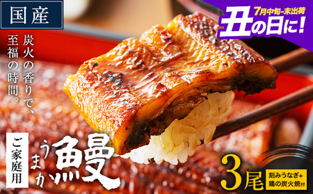 うなぎ ご家庭用 3尾 (刻みうなぎ2袋＆鶏の炭火焼1袋付き) 国産  鰻 真空パック おすすめ うなぎの蒲焼 《丑の日に！7月中旬?7月末出荷》 有頭 ふるさとのうぜい 鶏炭火焼 訳あり 簡易包装 不揃い ウナギ unagi 蒲焼 秋 冬 旬 配送時期 冷凍