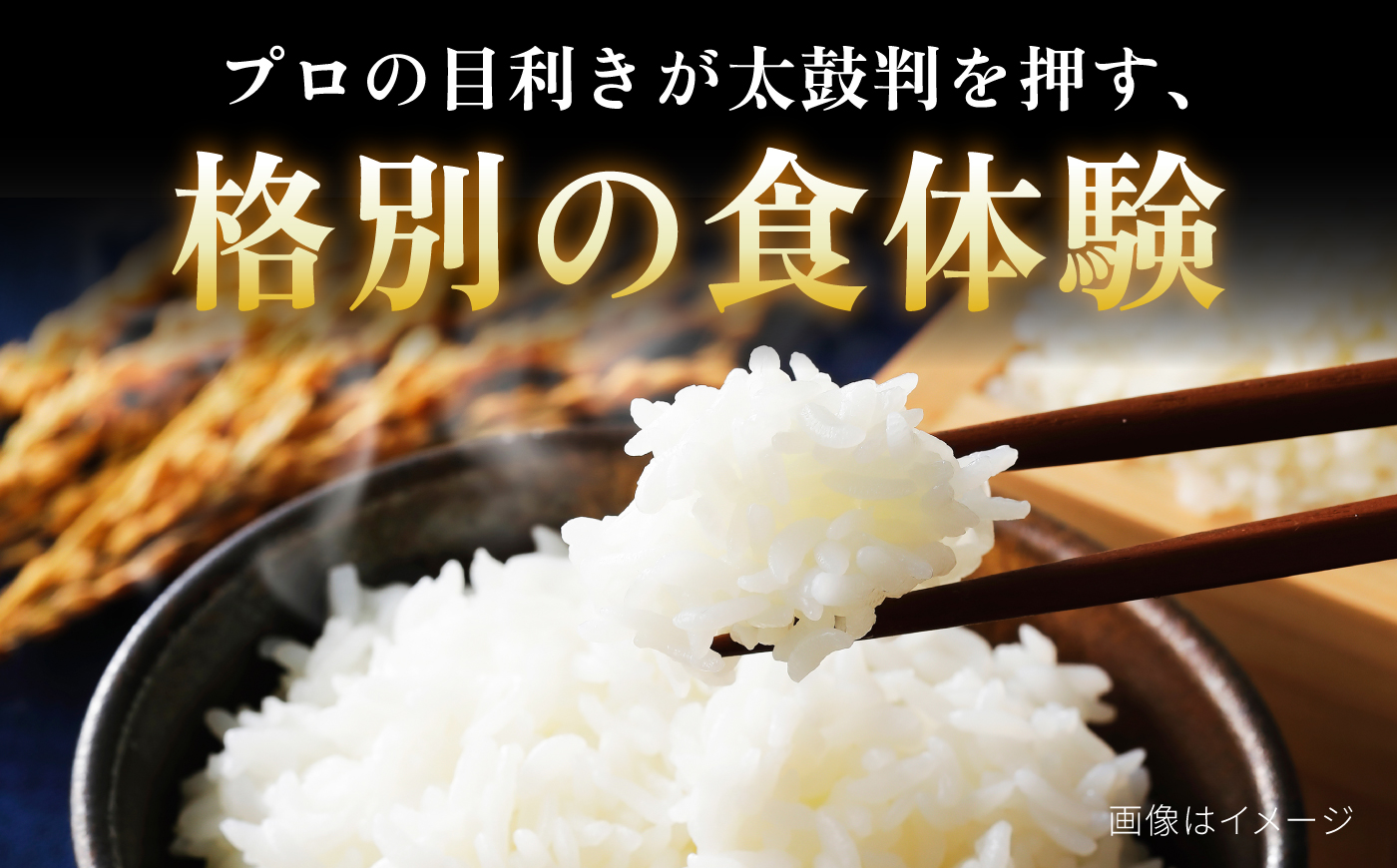 【お米マイスター監修】 令和7年産 北海道産 ゆめぴりか 10kg (5kg×2) | 米 お米 白米 精米 ゆめぴりか | 株式会社ZAWA.com [BOAZ004]
