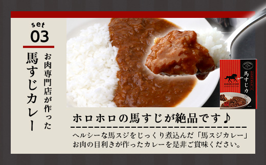 馬刺し燻製 2種 ＆ 馬すじ・くまもとあか牛 2種のカレーセット あか牛 馬肉 カレー くんせい 燻製 総菜 惣菜 おつまみ 非常食 アウトドア BBQ レトルト パウチ 簡単調理 100-0007