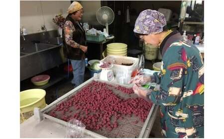 40年作り続けてきた無添加多気町産南高梅干しと季節の食べ物セット 数量限定 梅干 うめぼし しょっぱい すっぱい 紫蘇 シソ しそ 紅生姜 紅ショウガ 紅しょうが 塩漬け 漬物 お漬物 ジャム ジュー