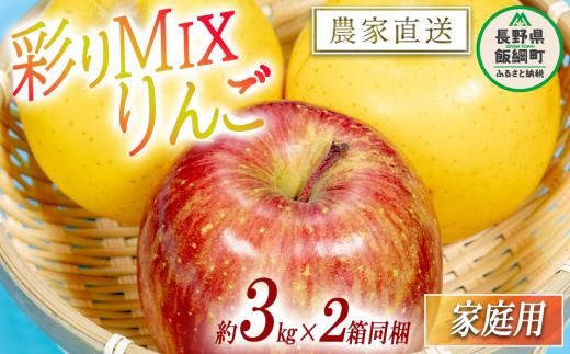 りんご 黄紅彩りMIXりんご サンふじ シナノゴールド 家庭用 3kg × 各1箱 合計 2箱 セット 大友農場 エコファーマー認定 沖縄県への配送不可 2024年12月中旬頃から2025年1月下旬頃まで順次発送予定 令和6年度収穫分 信州 果物 フルーツ リンゴ 林檎 長野 予約 農家直送 長野県 飯綱町 [1553]