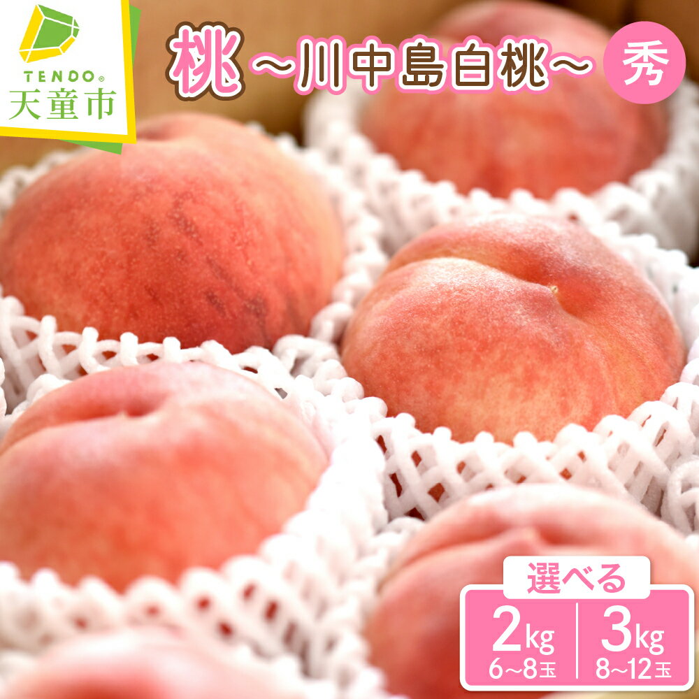 【ふるさと納税】 もも ( 川中島白桃 ) 2kg / 3kg 山形県産 桃 白桃 果物 フルーツ 秀品 大玉 糖度13度以上 2kg 6～8玉 / 3kg 8～12玉 ご家庭用 のし 贈答 ギフト おすそ分け 旬 夏 秋 期間限定 冷蔵便 送料無料 先行予約 【 山形県 天童市 】