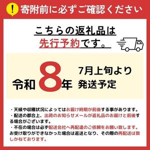 先行受付！天龍村の旬の夏野菜（農産物）詰め合わせセット 令和8年 7月～9月配送予定