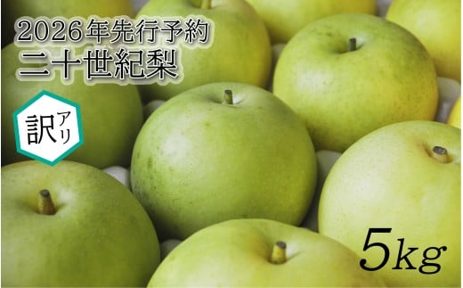 【2026年 先行予約】訳あり 二十世紀梨 5kg｜鳥取 東光園 梨 2026年収穫後 2026年8月下旬～9月頃順次発送※着日指定不可【41058】
