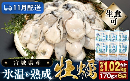 【11月配送】 宮城県産 かき 氷温熟成 牡蠣 生食用（冷凍）170g × 6袋 約 1kg 生食 牡蠣むき身 小分け むき身 むき牡蠣 カキ オイスター 濃厚 冷凍かき 宮城 小分け 冷凍 バラバラ冷凍 冷凍カキ かき 牡蠣 1キロ 海鮮 魚介 貝類 海の幸 BBQ 家庭用 まるたか水産 宮城県 石巻市 宮城 石巻