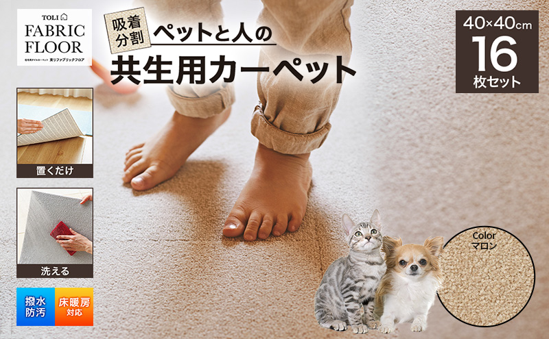 吸着分割ペットと人の共生用カーペット2.56平方メートル（4