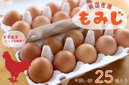 【純国産鶏もみじ】平飼い卵25個入り (AJ005-2)