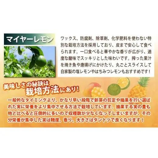 パイナップル好きにおすすめ！大満足のパイナップル4品種＆青切りマイヤーレモン定期便　年5回に分けてお送りします 《2027年4月以降発送》