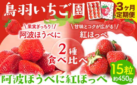 ＜ 先行予約 ＞ いちご 2種 食べ比べ 3ヶ月定期便 お試し 15粒 約450g 鳥羽いちご園 阿波ほうべに 紅ほっぺ 《1月上旬-3月下旬頃出荷》いちご イチゴ 苺 お試しサイズ 2種食べ比べ 徳島県 オリジナル品種 阿波ほうべに 紅ほっぺ 大粒 果物 フルーツ スイーツ 送料無料