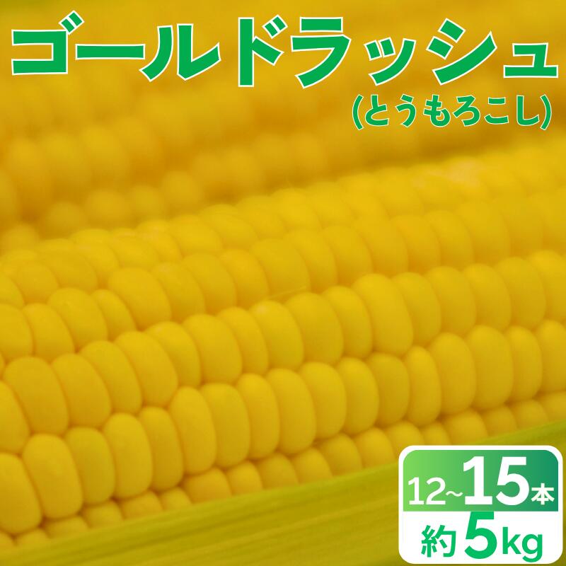 【ふるさと納税】 とうもろこし 甘い スイートコーン ゴールドラッシュ 約 5kg 12000円 12 本 ～ 15 本 L ～ 2L サイズ トウモロコシ コーン 冷蔵 クール便 産地直送 国産 農家直送 期間限定 数量限定 冷蔵 愛媛県 愛南町 愛なんよ