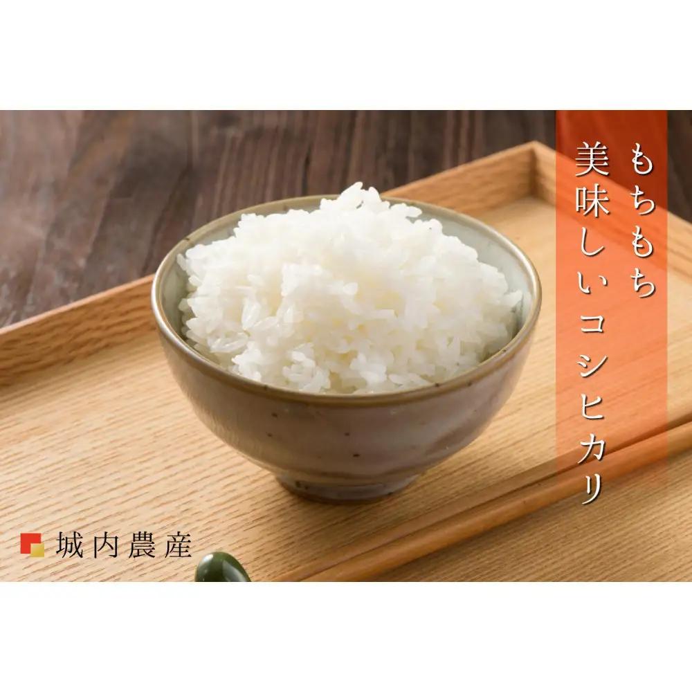 【令和８年新米予約】【お米定期便/全６回】南魚沼産コシヒカリ　無洗米４kg（２ｋｇ×２）＜5割減農薬栽培米＞｜定期便【2026年9月下旬から1ヶ月以内に順次発送予定】