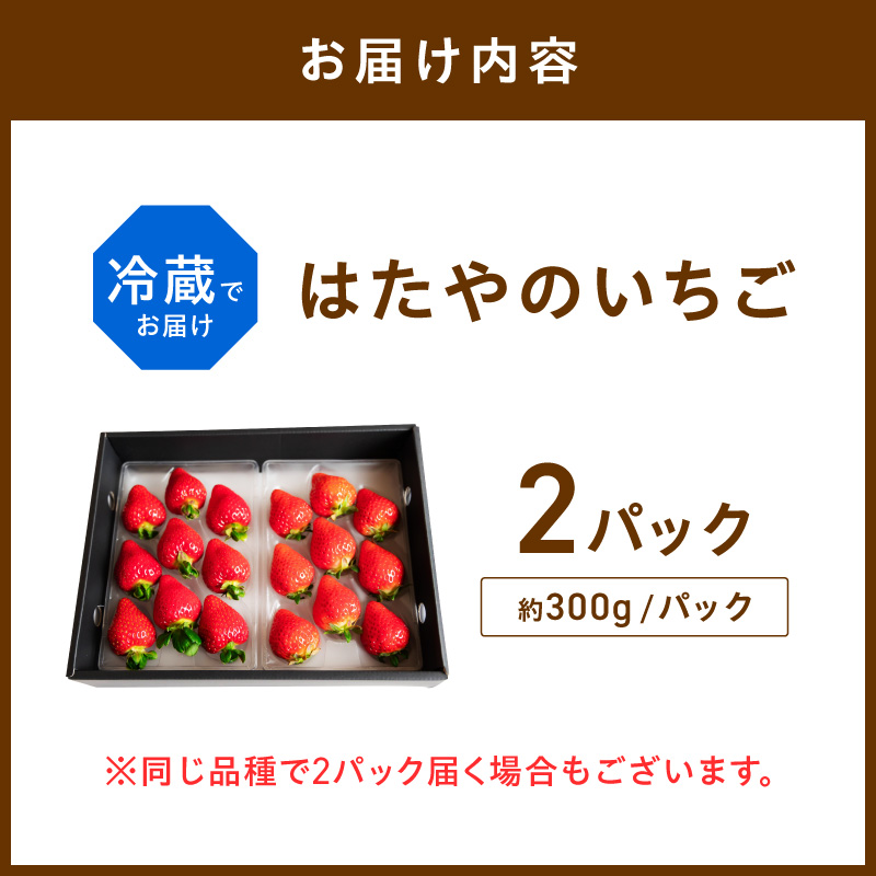 ★先行予約★はたやのいちご 2Pセット[1月中旬より順次発送]《 いちご 苺 イチゴ フルーツ 果物 国産 フルーツ工房はたや あまえくぼ 章姫 あまクイーン ロイヤルクイーン ぽりっちご あまおとめ 堅しろう 》【097006C000】