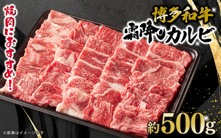 博多和牛 霜降りカルビ 約500g 072-248
