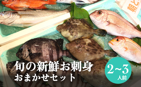 氷見漁港朝どれ！旬の新鮮お刺身おまかせセット ２〜３人前