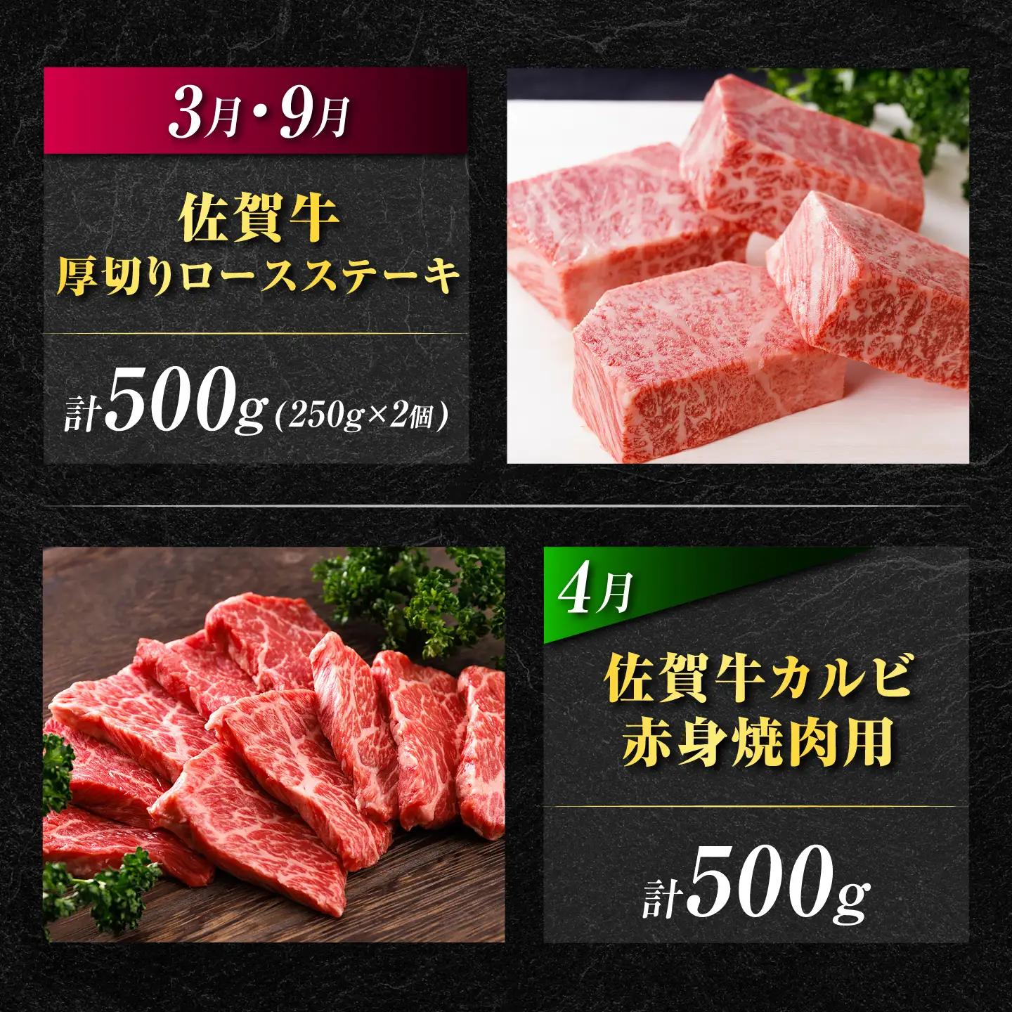 【全12回】 佐賀牛 贅沢定期便 約2-3人前 牛肉定期便 [UCC004]