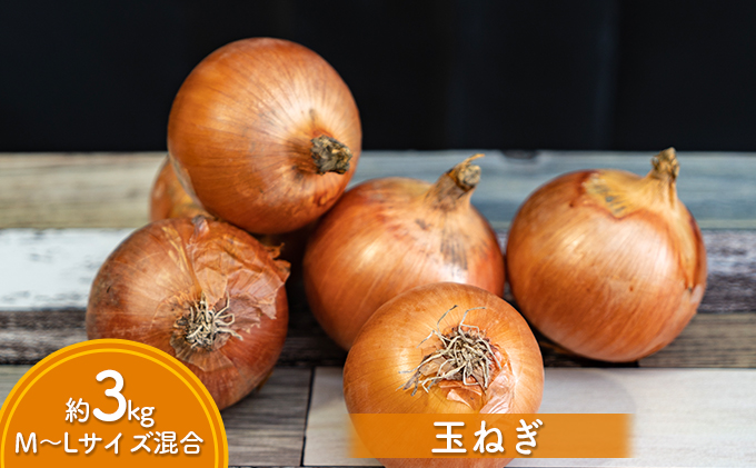 道の駅とうや湖 秋の味覚4種セット(新米ゆめぴりか・じゃ