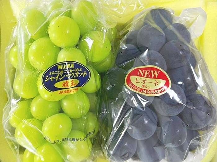 詰合せ ニューピオーネ1房(480g以上)・シャインマスカット「晴王」1房(480g以上) 化粧箱入り