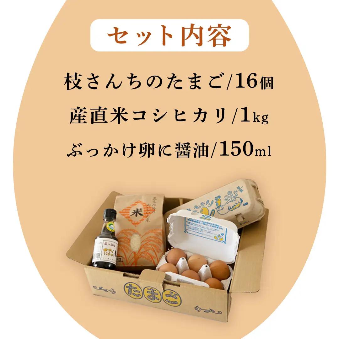 たまごかけご飯セット 卵 玉子 たまご 生卵 鶏卵 タマゴ しょうゆ 醤油 米 コシヒカリ 白米 精米 産地直送 平飼い お取り寄せ 詰め合わせ TKG 卵かけごはん 新生活 一人暮らし 桜川市産 茨