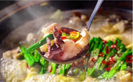 【須川 屋台道場】長崎和牛 もつ鍋 セット 9?10人前 / 南島原市 / はなぶさ[SCN002]